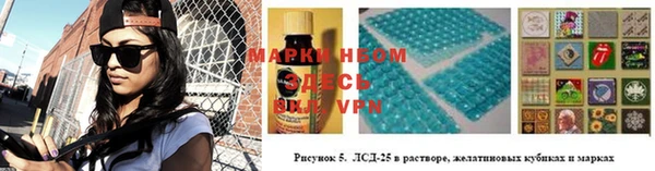 дурь Ладушкин
