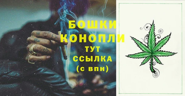 дурь Ладушкин