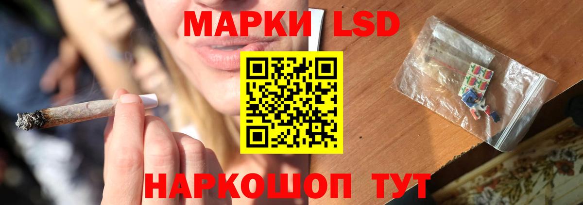 ЛСД экстази ecstasy  ОМГ ОМГ ССЫЛКА  Новокубанск  Вход с VPN 
